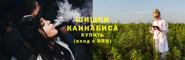ПСИЛОЦИБИНОВЫЕ ГРИБЫ Беломорск