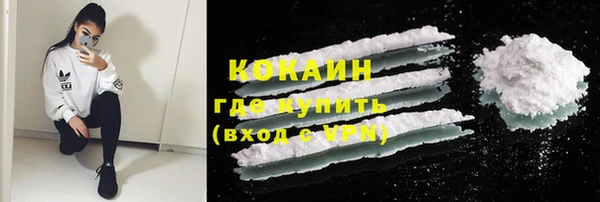 ALPHA PVP Покров