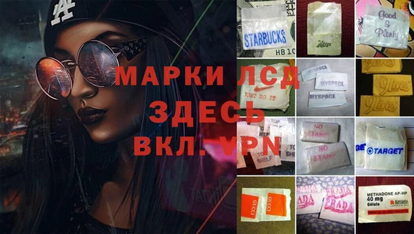 ПСИЛОЦИБИНОВЫЕ ГРИБЫ Беломорск