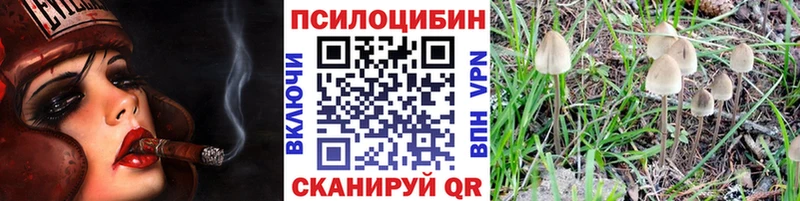 Псилоцибиновые грибы Magic Shrooms  Среднеколымск 